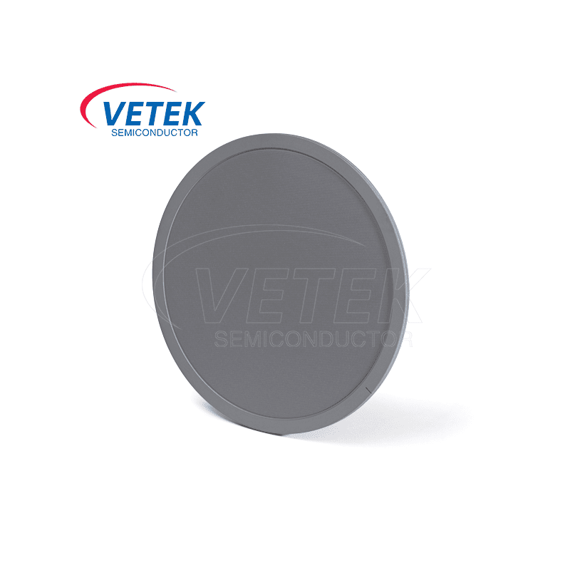 Transportator de wafer acoperit cu sic